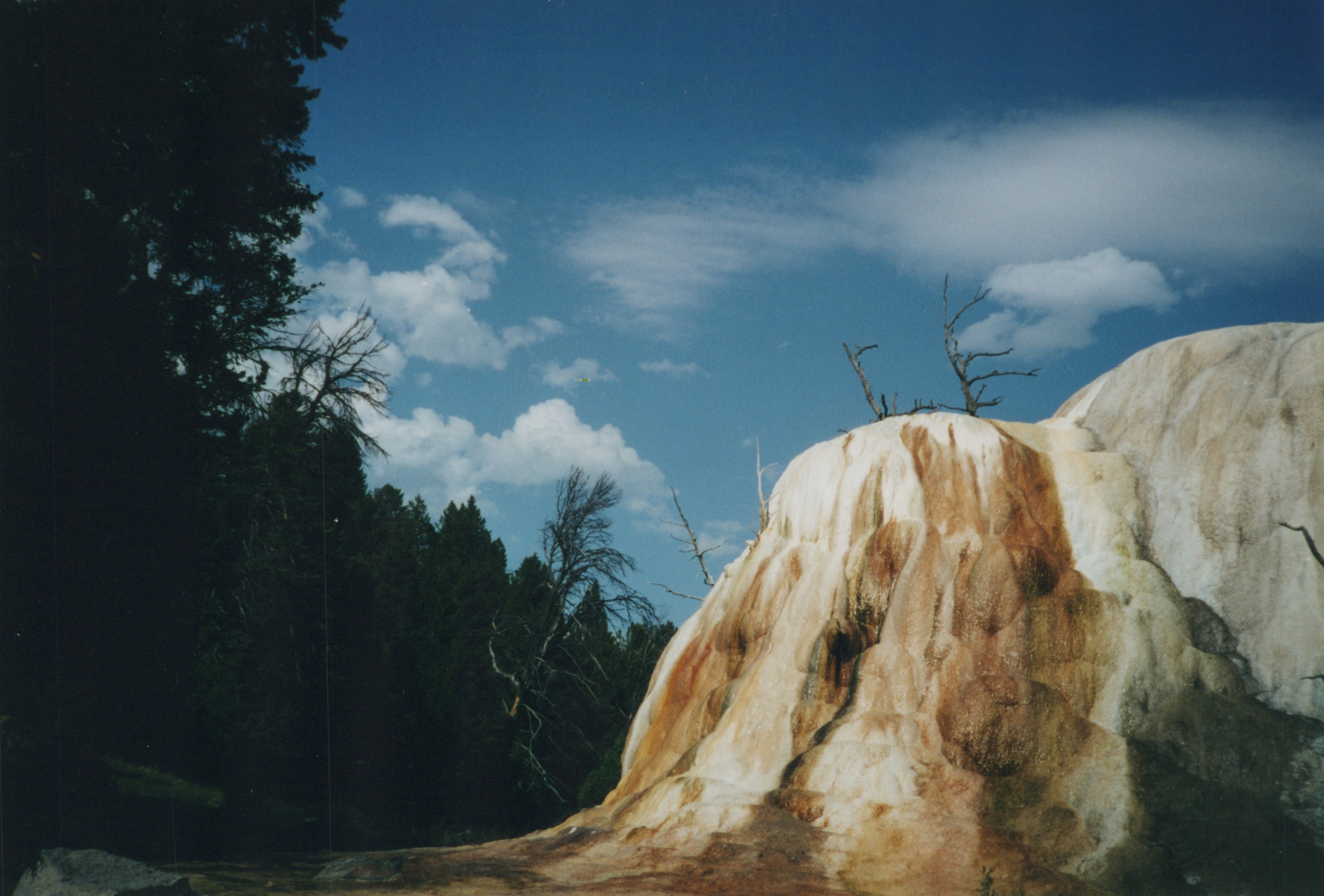 Orange Spring Mound, Yellowstone